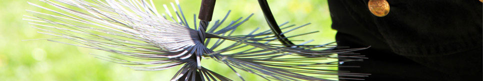 Banner - Thomas Steinkühler